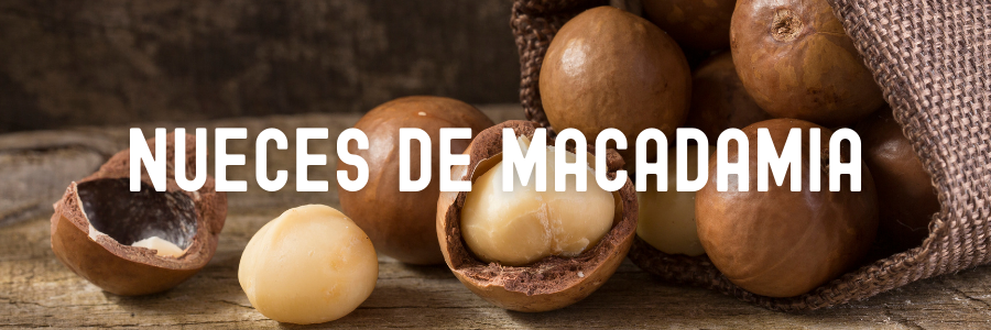 Nueces de Macadamia